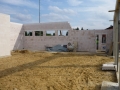 Bau (20)