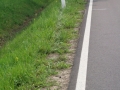 DSCF1042
