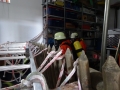 DSC01361.JPG