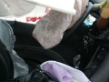 IMGP3534.JPG