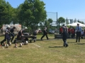 IMG_20170527_144759